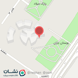 عکس کیف وکفش لوتوس