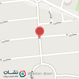 عکس مکانیکی زانتیا میثم