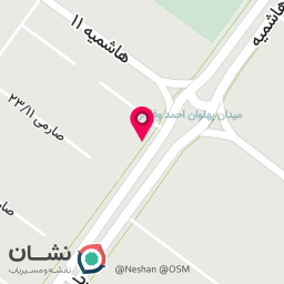 عکس دکتر مسعود امیری مقدم