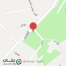 عکس کیف و کفش گنجینه