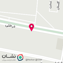 عکس بوتیک لباس مجلسی زنانه دانژه