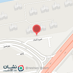 عکس دکتر مریم چمنی