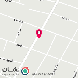 عکس مرغ و ماهی فروشی ساکی