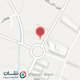 عکس پیتزا بیستون