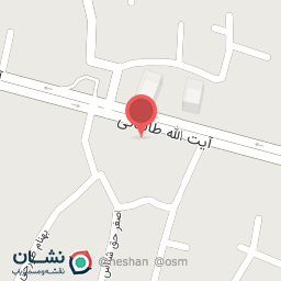 عکس عکاسی سیب