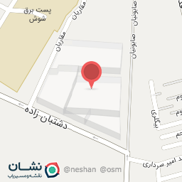 عکس رایا چینی ایرانیان