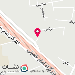 عکس آروین چوب نقش جهان