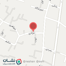 عکس کیف همیانکده