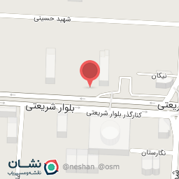 عکس پیتزا لانژ