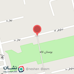 عکس میوه فروشی لاله 