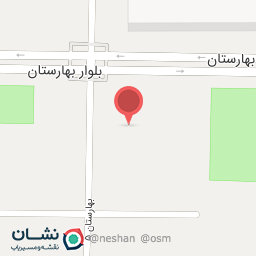 عکس پیتزا ایتالیایی ناپلو