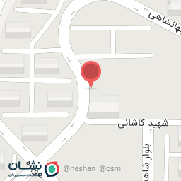 عکس فست فود