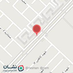 عکس خودپرداز غیرنقدی