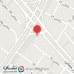 عکس فست فود