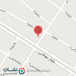 عکس  تشخیص رنگ خودرو زارع