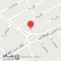 عکس صافکاری استاعلی