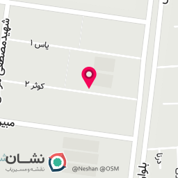 عکس پیپوت (پیتزا سیب زمینی)