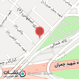 عکس مرغ و ماهی لاله