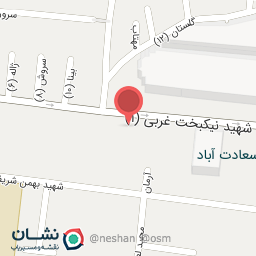 عکس دکتر راضیه ضیایی