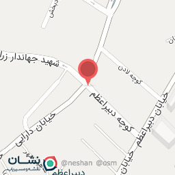 عکس پخش ظروف یکبار مصرف کیان