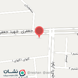 عکس آگرین برگر