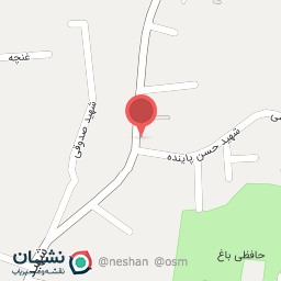 عکس فست فود علیرضا