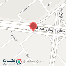 عکس برق اتومبیل میرجلیلی