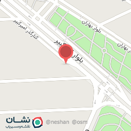 عکس چلوکباب  طلایی