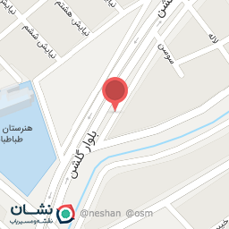 عکس باطری سازی علیرضا