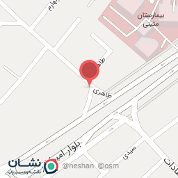 عکس پیتزا امید