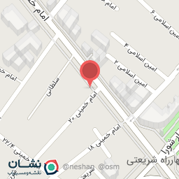 عکس کفش قناری۲