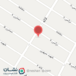 عکس پخش لوازم جانبی رایکا