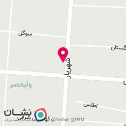 عکس دکتر وحید نجاتی