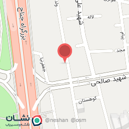 عکس پلاسکو مهدی