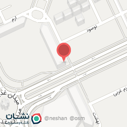 عکس دکتر ترگل امینی