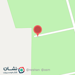 عکس کاج سبز