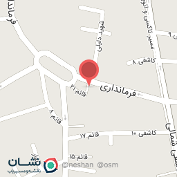 عکس مطبخ غذای خانگی گردو