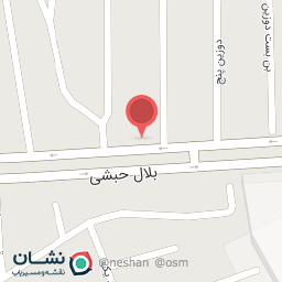 عکس انژکتوری امیر