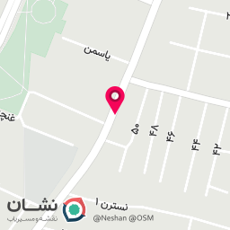 عکس مرغ وماهی