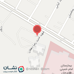 عکس پیتزا هفت شب