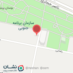 عکس پیتزا مانی