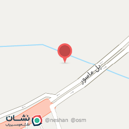 عکس فروشگاه وتعویض روغن دلفان