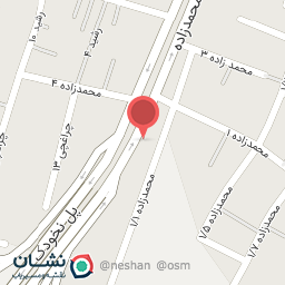 عکس دزدگیر و سیستم فضلی