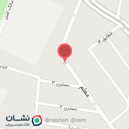 عکس کیف و کفش سناتور