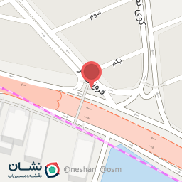 عکس برگر ذغالی آقای خاص