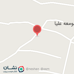 عکس هیئت عزاداران زنجیر زنان حضرت رقیه(س)