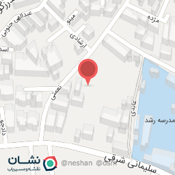 عکس دکتر نازنین شاه حسینی