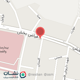 عکس تهیه غذای الو غذا