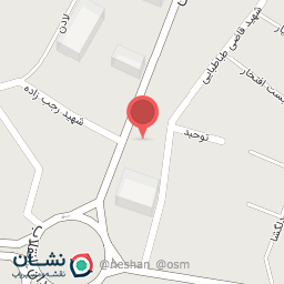 عکس لوازم خانگی‌ و فرش و موکت نخلی 