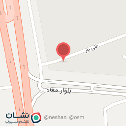 عکس باربری نگین